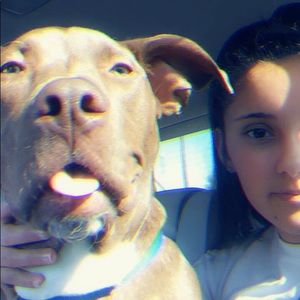 Meet your Posher, Kylea